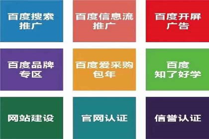 成功案例：专业SEM托管服务助力企业抢占行业制高点